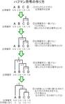 huffman-coding.jpg